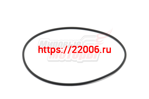 Кольцо Буран уплотнительное коллектора большое (110500996)