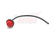 Праймер 168F-190F