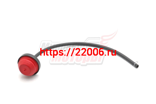 Праймер 168F-190F Праймер 168F-190F