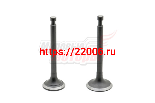 Клапаны (впуск/выпуск) 173F,177F (пара) (ОРИГИНАЛ, "LIFAN") Клапаны (впуск/выпуск) 173F,177F (пара) (ОРИГИНАЛ, "LIFAN")