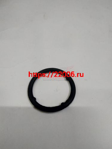 Прокладка насоса водяного QQ (3721307015)