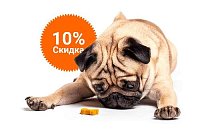 -10% на зоотовары акция в Челябинске компании Инженер выгодно