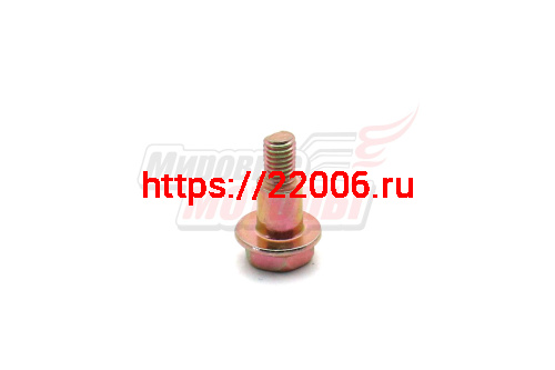 Винт крышки собачек стартера 168F/168F-2 (LIFAN оригинал)