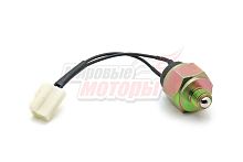 Датчик включения заднего хода 1069 (M1702182M1)