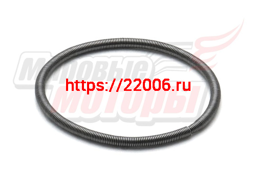 Пружинка сальника к/вала Буран (диам.30)