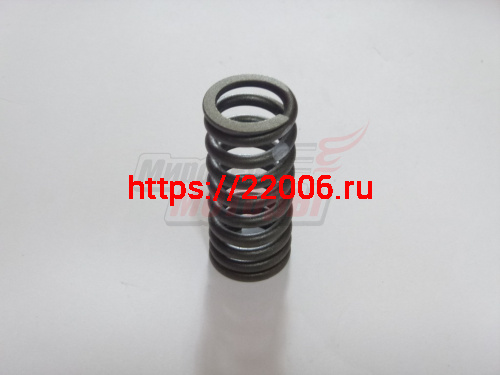Пружина клапана Tiggo 2,4 (SMD314078)