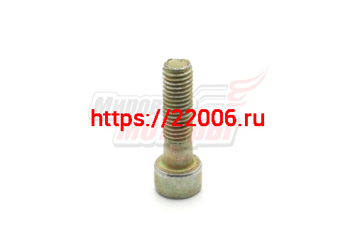 Болт Нептун под шестигранник M8*30