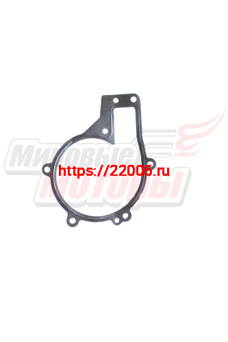 Прокладка водяного насоса FORA, TIGGO (481H-1307041)