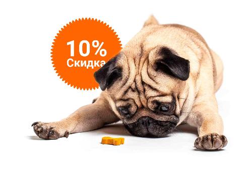 -10% на зоотовары акция в Челябинске компании Инженер выгодно