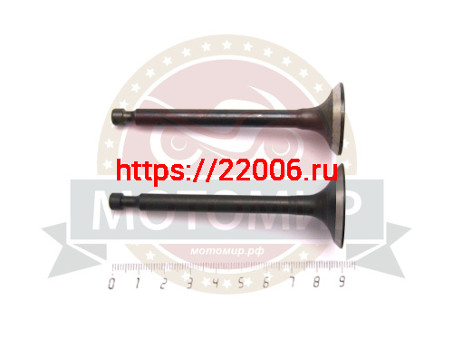 Клапан впускной + выпускной 173F (d5.5мм, 69,5*30,5/69,5*25,5мм) (GХ 240) (YT-GP-000237)